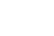 Palm Tree Pools