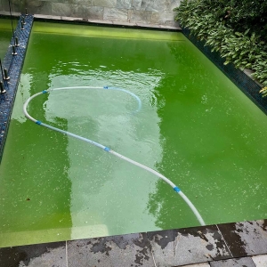 Green Pool Recovery, Gold Coast - Tweed