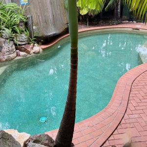 Green Pool Recovery, Gold Coast - Tweed